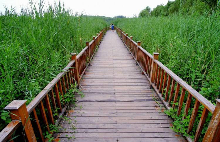 棧道